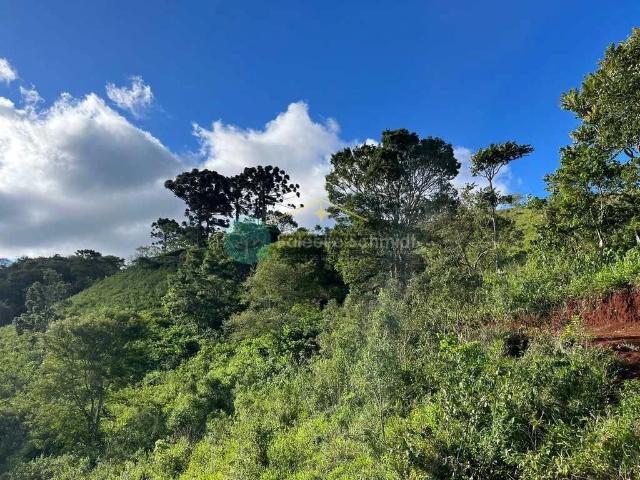 Terreno comercial para Venda em Santo Antônio do Pinhal/SP Centro