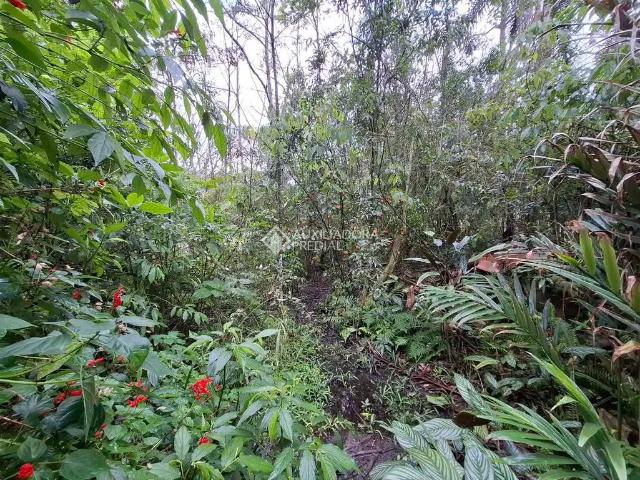 Terreno comercial para Venda em Santo Antônio da Patrulha/RS Evaristo