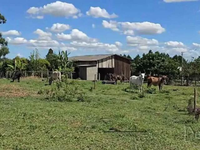 Terreno comercial para Venda em Santo Antônio da Patrulha/RS Pinheirinhos