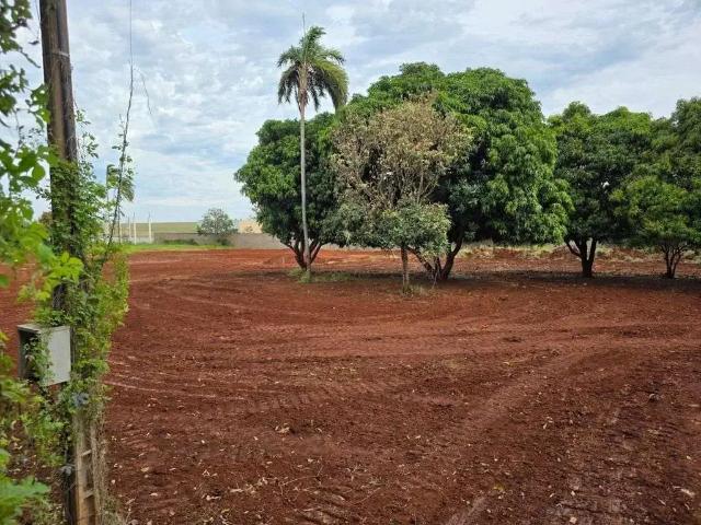 Terreno comercial para Venda em Sarandi/PR Jardim das Torres