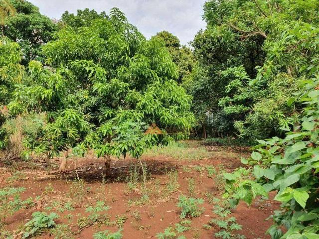 Terreno comercial para Venda em Sertãozinho/SP Alto do Ginásio