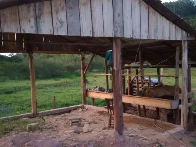 Terreno comercial para Venda em Taquara/RS Pega Fogo Distrito