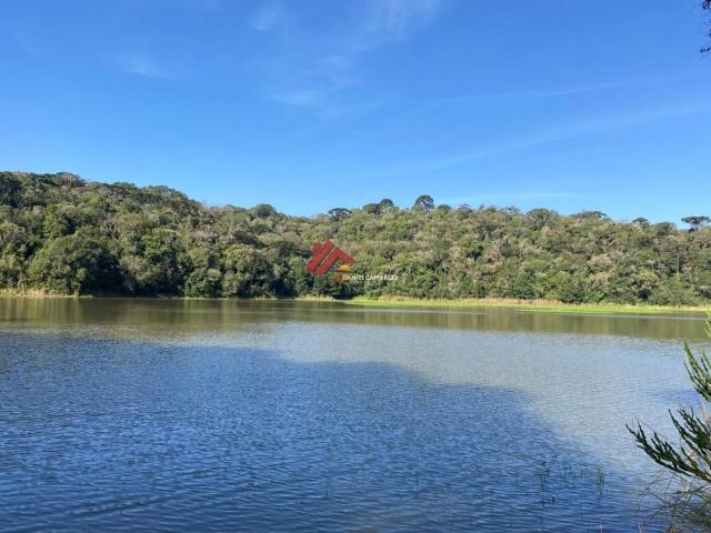 Terreno comercial para Venda em Tijucas do Sul/PR Vossoroca