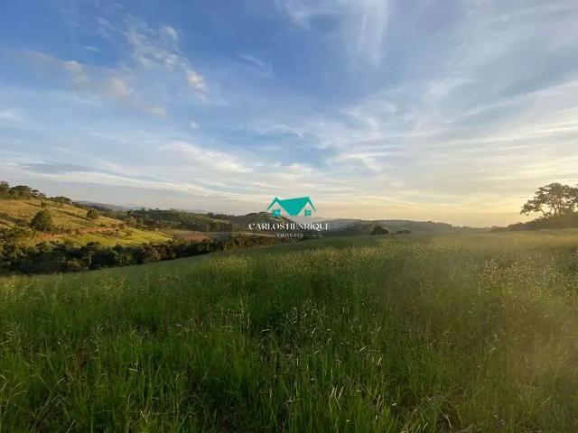 Terreno comercial para Venda em Toledo/MG Centro