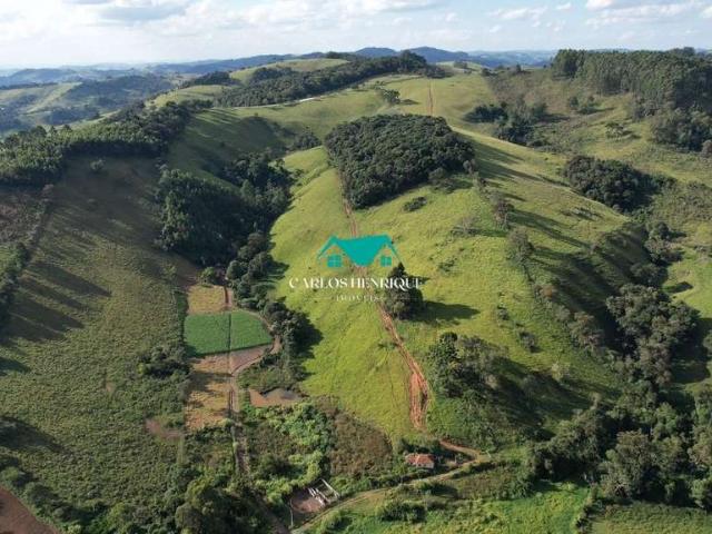 Terreno comercial para Venda em Toledo/MG Centro