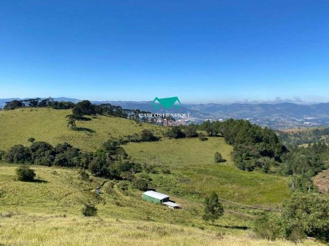 Terreno comercial para Venda em Toledo/MG Centro