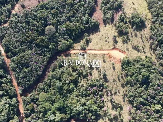 Terreno comercial para Venda em Toledo/MG Centro