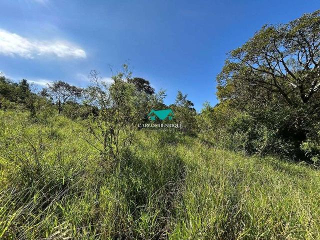 Terreno comercial para Venda em Toledo/MG Rosário