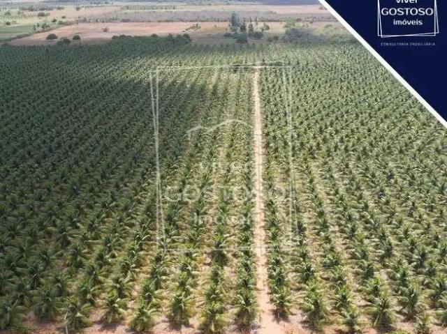 Terreno comercial para Venda em Touros/RN Zona Rural
