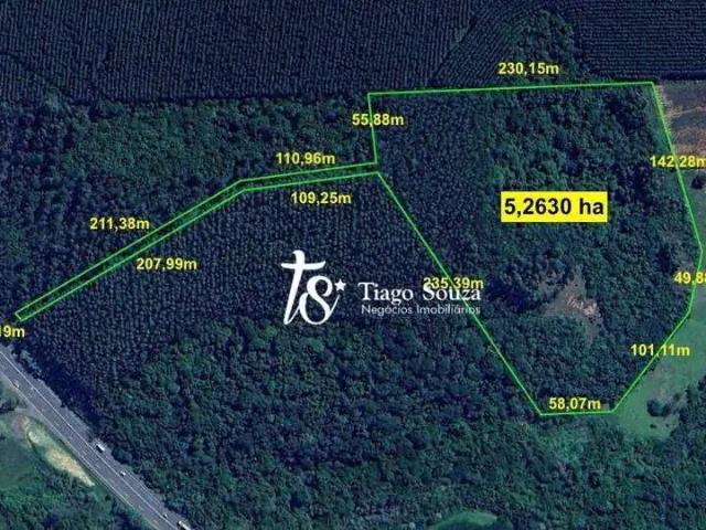 Terreno comercial para Venda em Triunfo/RS Costa Da Cadeia