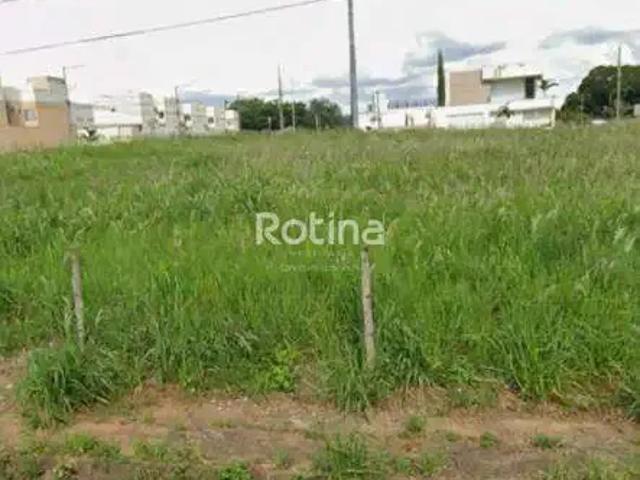 Terreno comercial para Venda em Uberlândia/MG Vigilato Pereira