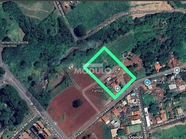 Terreno comercial para Venda em Uberlândia/MG Chácaras Tubalina e Quartel