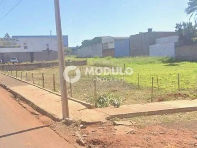 Terreno comercial para Venda em Uberlândia/MG Custódio Pereira