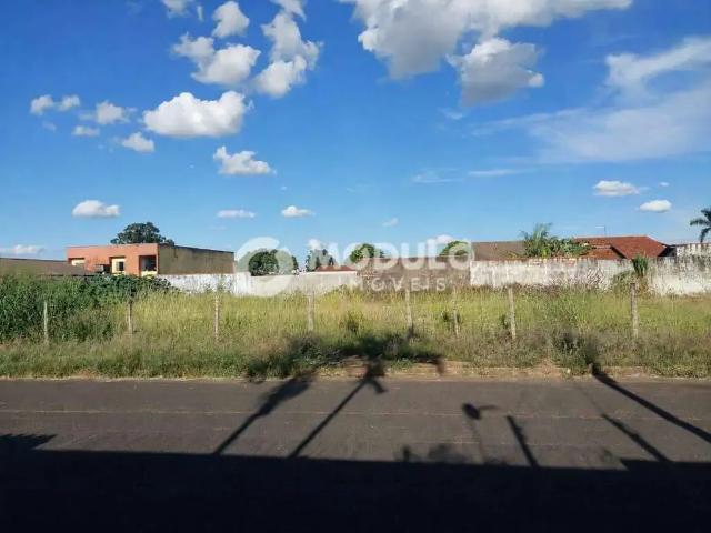 Terreno comercial para Venda em Uberlândia/MG Jardim das Palmeiras
