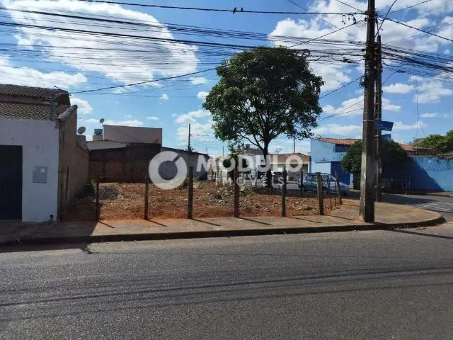 Terreno comercial para Venda em Uberlândia/MG Jardim das Palmeiras