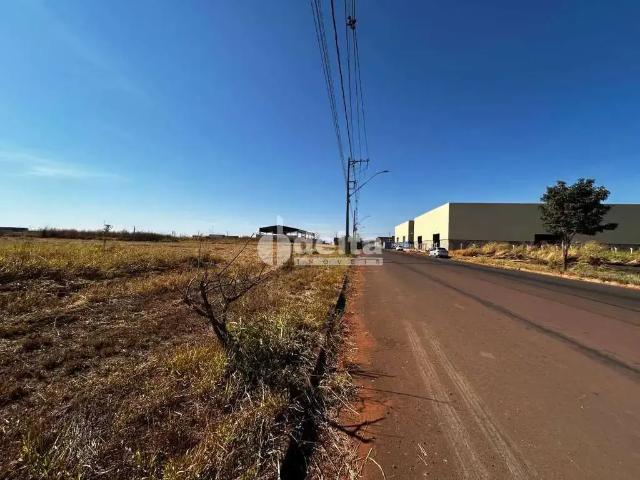 Terreno comercial para Venda em Uberlândia/MG Loteamento Centro Empresarial Leste I