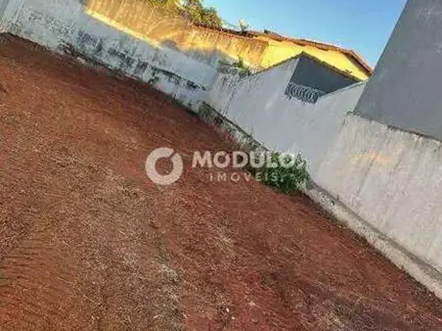 Terreno comercial para Venda em Uberlândia/MG Santa Mônica
