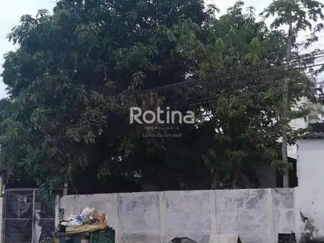 Terreno comercial para Venda em Uberlândia/MG Santa Mônica