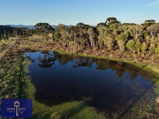 Terreno comercial para Venda em Urubici/SC Santa Tereza