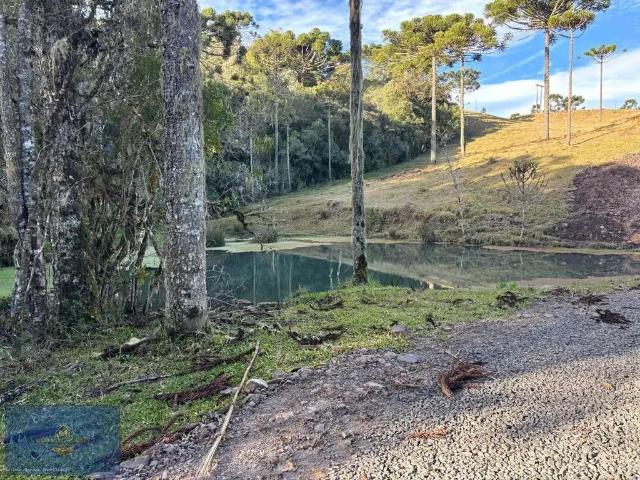 Terreno comercial para Venda em Urubici/SC Serra do Panelão