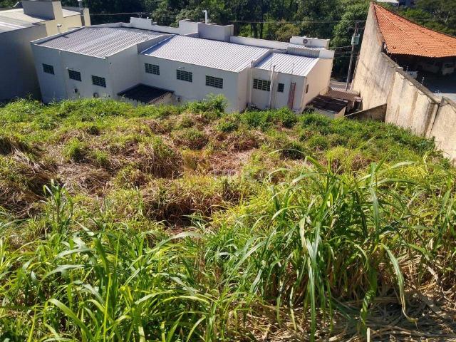 Terreno comercial para Venda em Valinhos/SP Jardim São Francisco