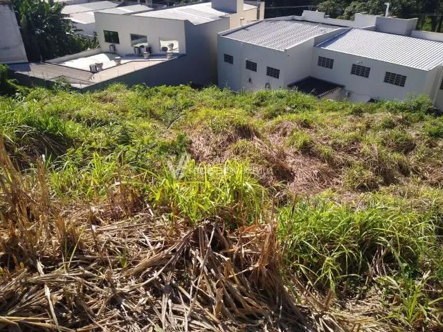 Terreno comercial para Venda em Valinhos/SP Jardim São Francisco