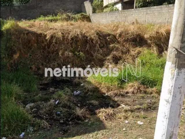 Terreno comercial para Venda em Vespasiano/MG Jardim Daliana