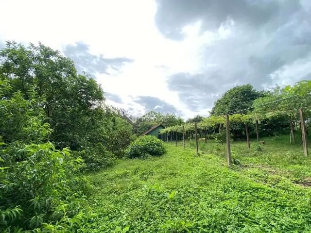 Terreno comercial para Venda em Viamão/RS Fiuza