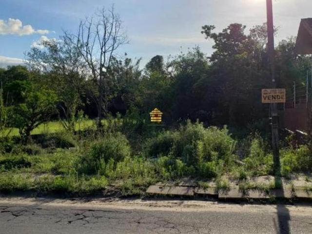 TERRENO COMERCIAL PORTÃO 100metros da RS 240