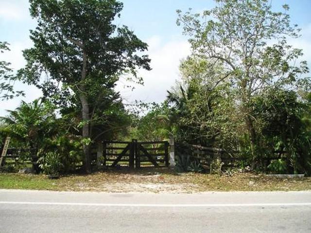 Terreno Comercial Renta en Canc?n. 8250 m2. Autopista M?rida ChichenItza KM 300. 700 m Av. Huayac?n