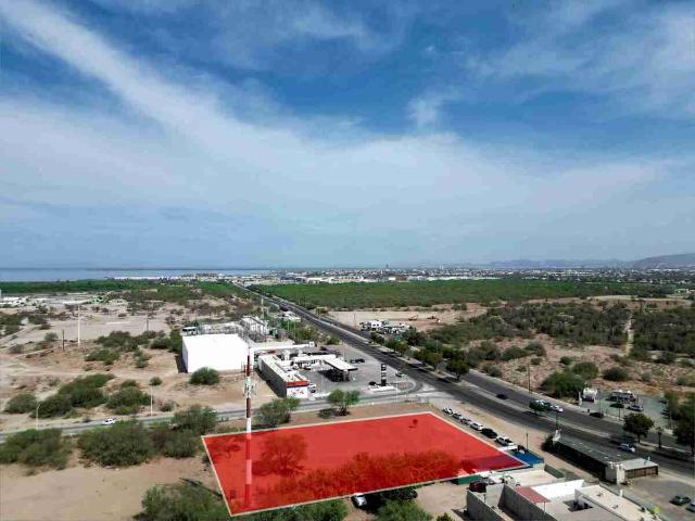 TERRENO COMERCIAL SOBRE PINO PALLAS