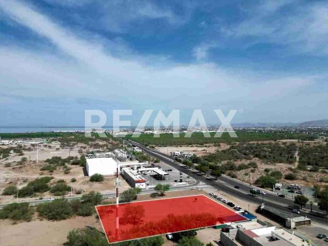 TERRENO COMERCIAL SOBRE PINO PALLAS