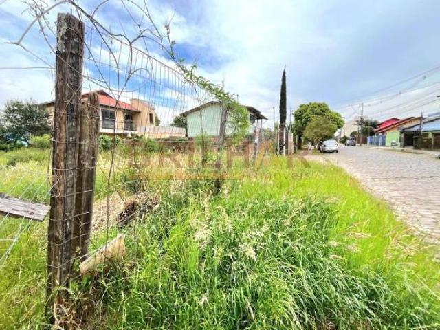 Terreno comprar no Desvio Rizzo