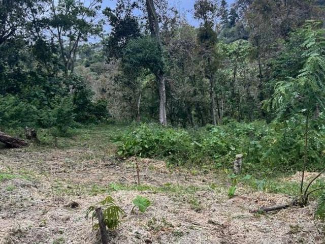 Terreno con 707 m2 superficie de terreno en venta, Briones
