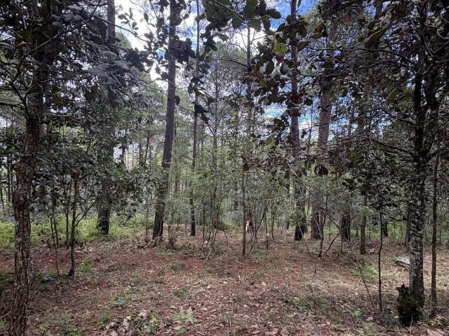 Terreno con 600 m2 en Venta en Lomas de Chiapas!