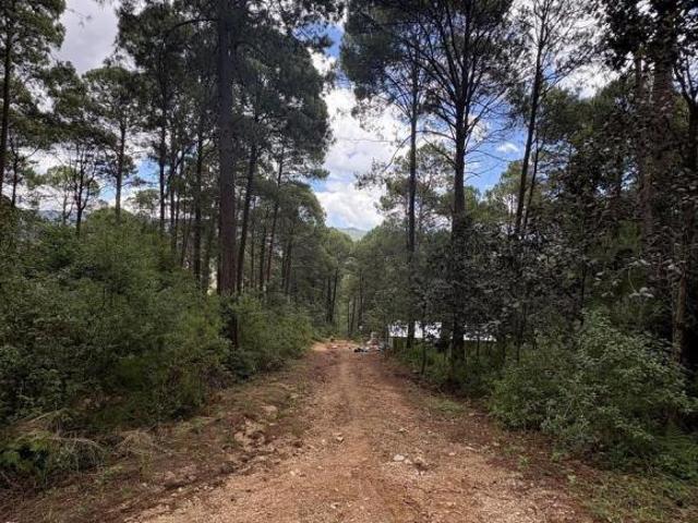 Terreno con 600 m2 en Venta en Lomas de Chiapas!