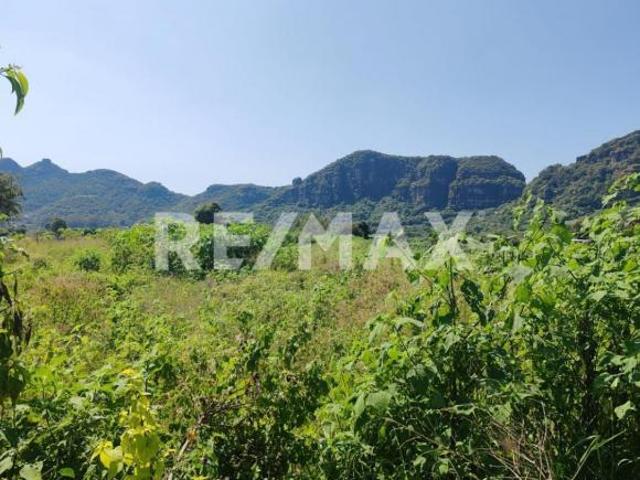 Terreno con una gran vista en Cruz Blanca, Tlayacapan Morelos