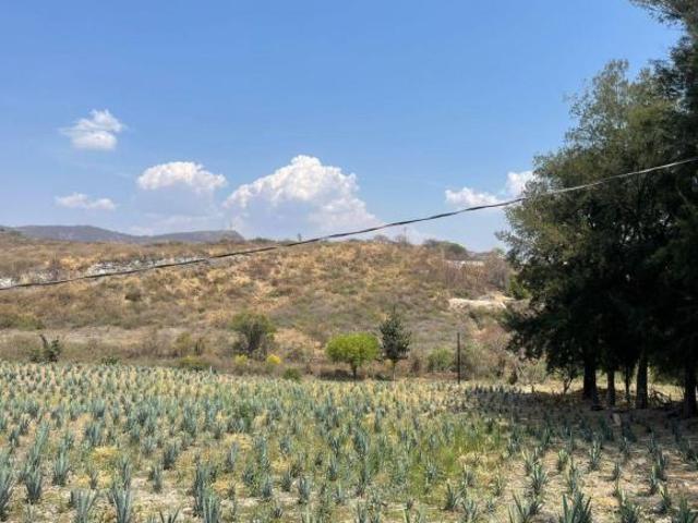 Terreno con uso de suelo en venta, Chapala | RTV 2295
