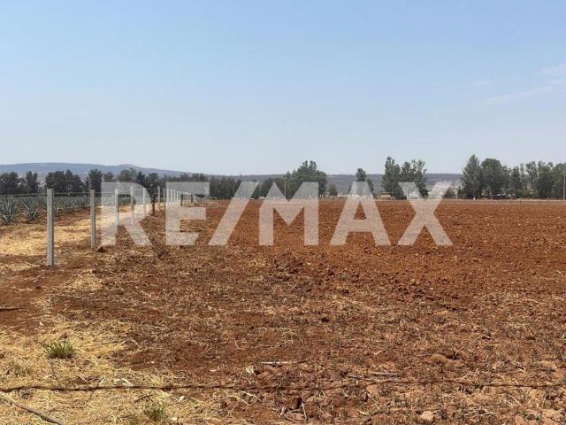 Terreno con uso de suelo en venta, Tototlan, Jalisco