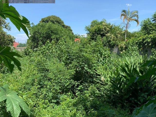 Terreno con Uso Habitacional en Sumiya en Cuernavaca, Morelos 600 mts2