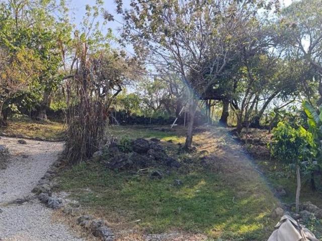 Terreno con vista a las montañas en venta, Tepoztlan, Mor