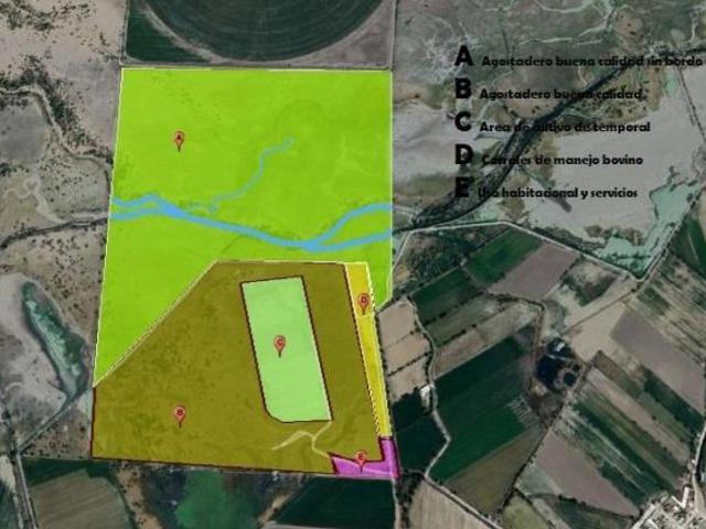 Terreno con vocación Agrícola y Ganadera en Venta cercano al Aeropuerto 4