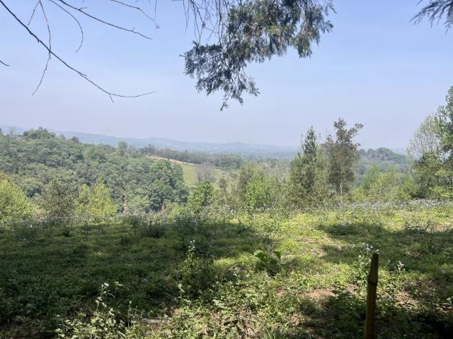 TERRENO CON ACCESO CERCA DE LA CARRETERA