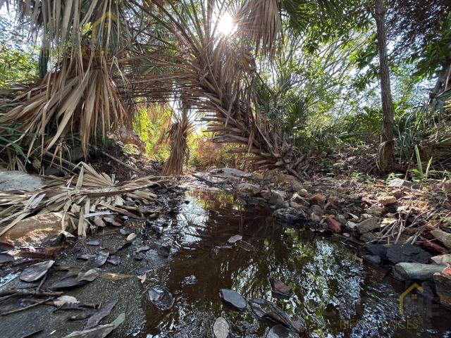 Terreno con aguas termales en venta en Los Ba?os Veracruz