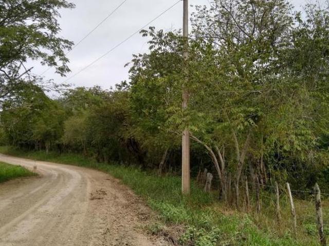 Terreno con Arboles en Venta en Chicayan Veracruz