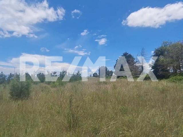 TERRENO CON BOSQUE Y CONSTRUCCION EN VENTA EN AMEALCO, QUERETARO