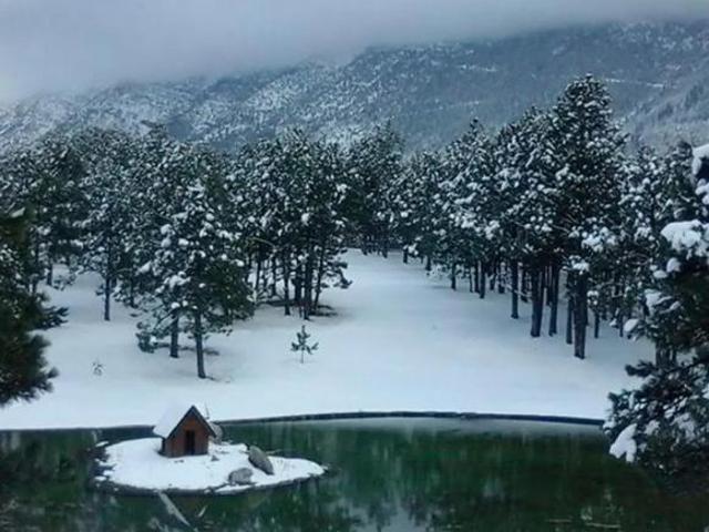 TERRENO CON CABAÑA EN VENTA EN BOSQUES DE MONTERREAL. ARTEAGA COAHUILA