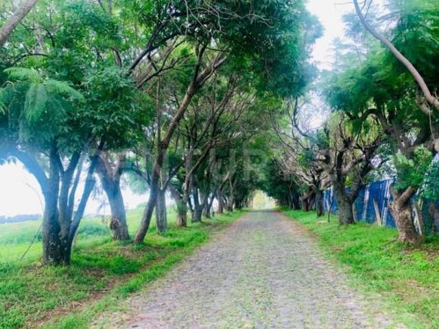 Terreno Con Casa Campestre a la Venta, Carretera Colotlan, Zapopan
