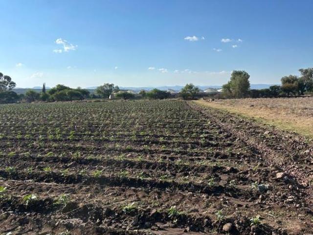 Terreno con casa e invernadero
