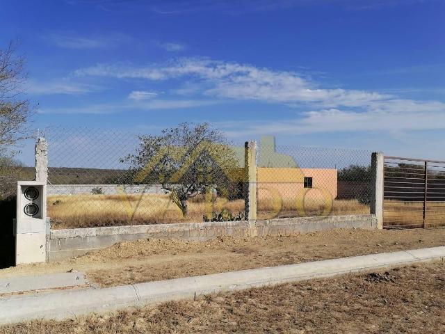 Terreno con Casa en Linares, Nuevo Le?n